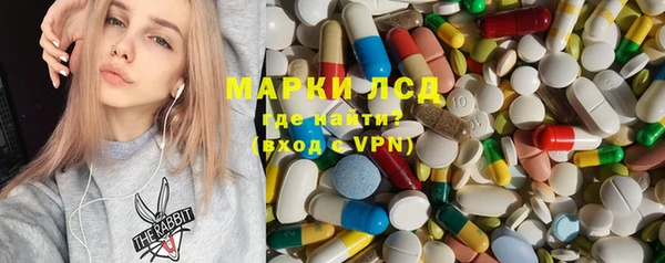 спиды Богданович