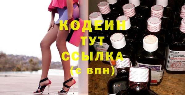 спиды Богданович