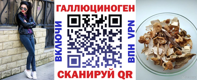 Псилоцибиновые грибы Cubensis  сколько стоит  Гай 